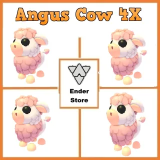angus cow