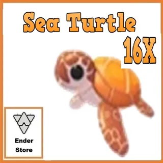 Sea Turtle 