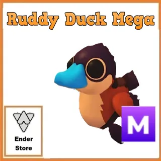 Ruddy Duck Mega