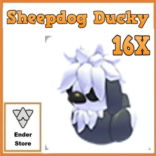 Sheepdog Ducky 