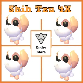 Shih Tzu