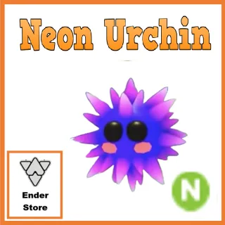 Neon Urchin