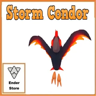 Storm Condor