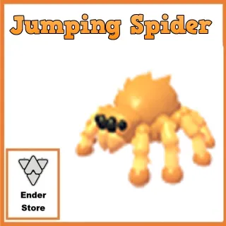 jumping spider