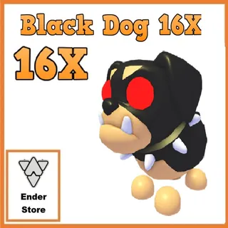 Black Dog  