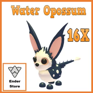 Water Opossum