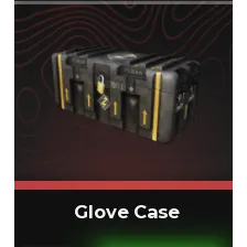 BloxStrike -  Glove case  x10