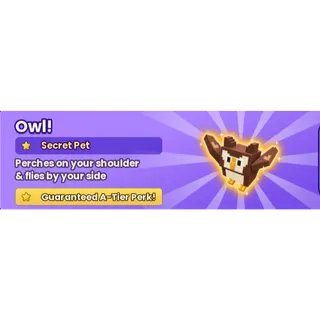 run a restaurant - Owl