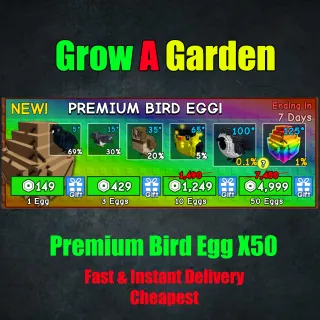 Premium Bird Egg X50