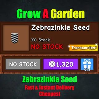 Zebrazinkle Seed - Grow a Garden