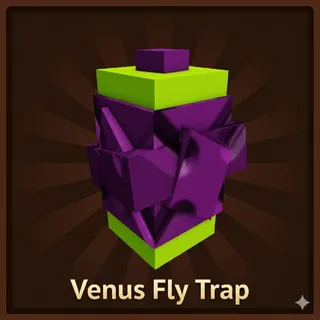 Venus Fly Trap x3