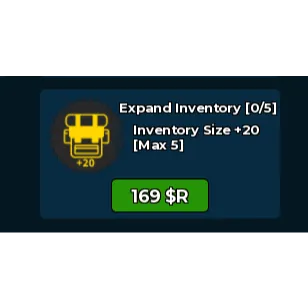 Dungeon Leveling Origin _  Expand inventory