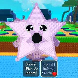 Starfruit 6.9 Kg (Foggy)