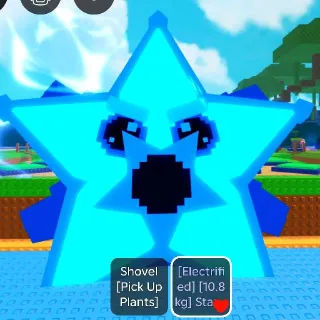 Starfruit 10.8 Kg (Electrified)