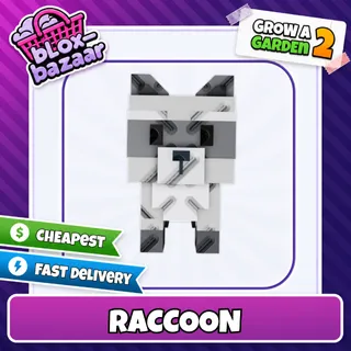 Raccoon