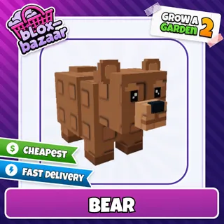 Bear