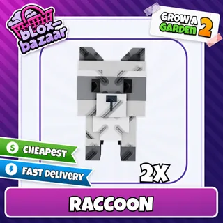 2x Raccoon