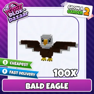 100x Bald Eagle