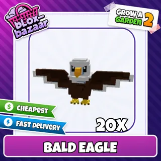20x Bald Eagle