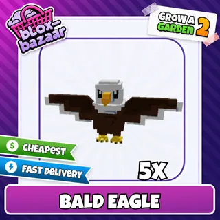 5x Bald Eagle
