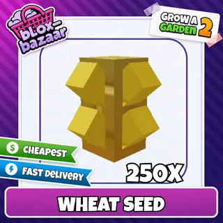 Wheat Seed