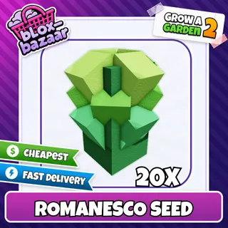 20x Romanesco Seed