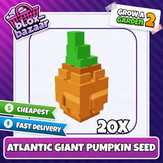 20x Atlantic Giant Pumpkin Seed