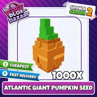 1000x Atlantic Giant Pumpkin Seed