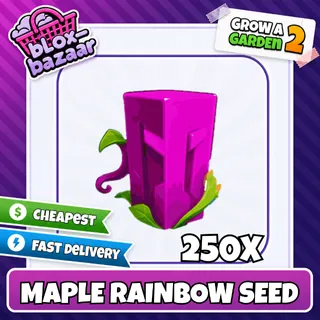 250x Maple Rainbow Seed