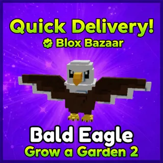 Bald Eagle