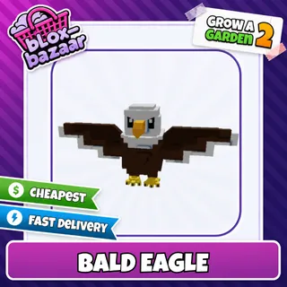 Bald Eagle