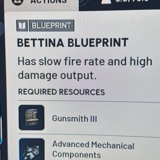 BETTINA BLUEPRINT NOW