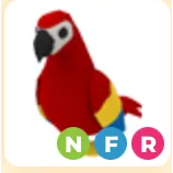 NFR PARROT