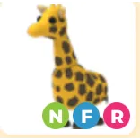 NFR GIRAFFE