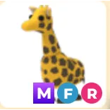 MFR GIRAFFE