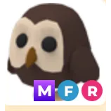 MFR OWL