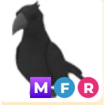 mfr crow