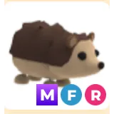 MFR HEDGEHOG