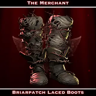 🩸POE2 - Briarpatch Laced Boots