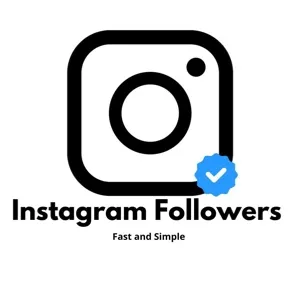 100 Instagram Followers 