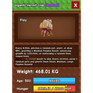 COLOSSAL GIGANTIC HERMIT CRAB 468.01KG | AGE 500