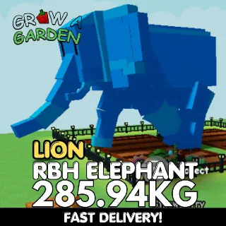 Lion Rainbow Hatched Elephant 285.94 Kg | RBH | Age 500