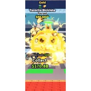 86.6m gold tacorita bicicleta