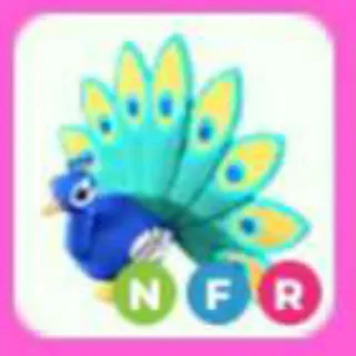 PEACOCK NFR