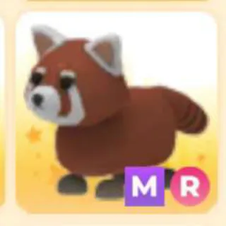 RED PANDA MR