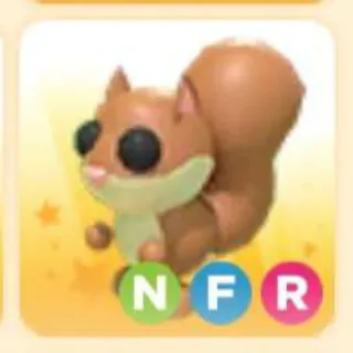 Pet | RED SQUIRREL NFR