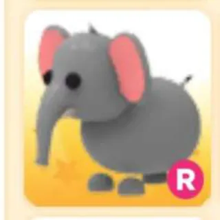 Pet | ELEPHANT R