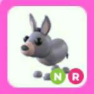 DONKEY NR