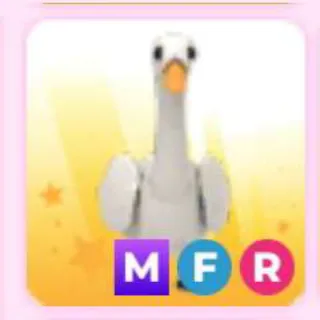 SWAN MFR