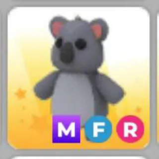 KOALA MFR